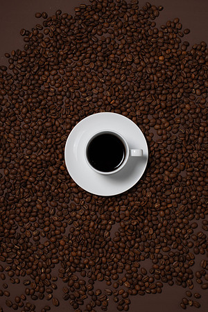 WebResChocolateBrownTheme040_HighRes