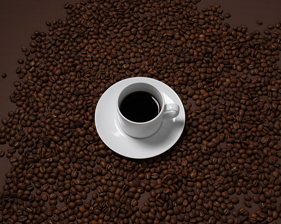 WebResChocolateBrownTheme041_HighRes