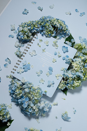 WebResHydrangea016_HighRes