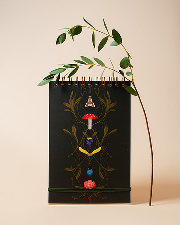 Fringe_NotecardsOnGreen003