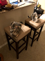 Random Phone Images