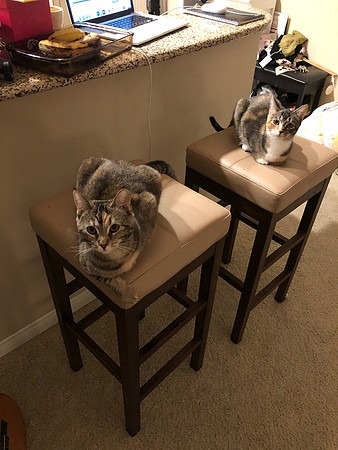 0A3E66C1-392E-43F0-878E-632BEFB94EA2-2000