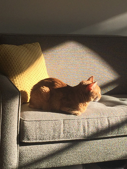 IMG_9426