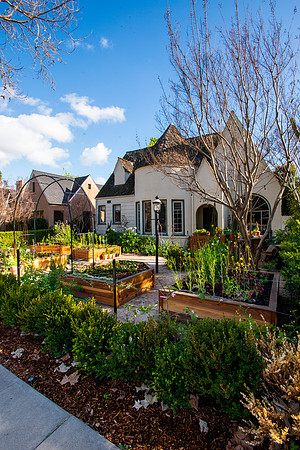 FEAT_May2021_HeirloomPotager__AshleyIrene_052