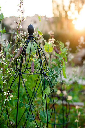 FEAT_May2021_HeirloomPotager__AshleyIrene_023