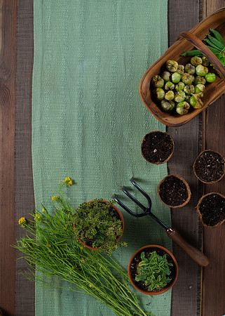 FEAT_May2021_HeirloomPotager__AshleyIrene_033