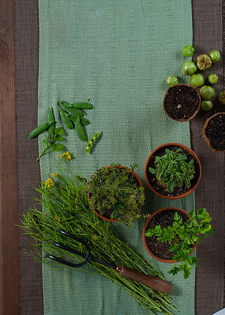 FEAT_May2021_HeirloomPotager__AshleyIrene_036