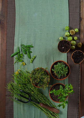 FEAT_May2021_HeirloomPotager__AshleyIrene_035