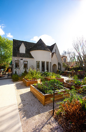 FEAT_May2021_HeirloomPotager__AshleyIrene_049