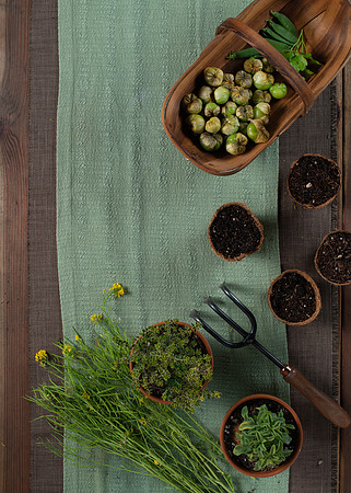 FEAT_May2021_HeirloomPotager__AshleyIrene_031