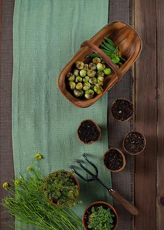 FEAT_May2021_HeirloomPotager__AshleyIrene_032