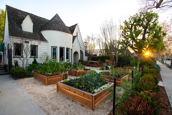 FEAT_May2021_HeirloomPotager__AshleyIrene_040