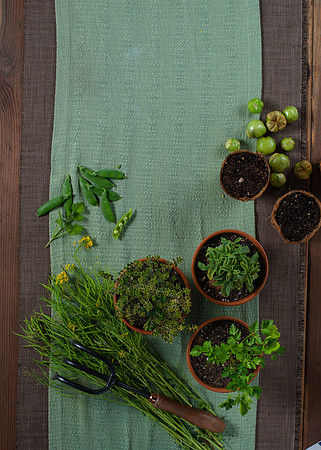 FEAT_May2021_HeirloomPotager__AshleyIrene_037