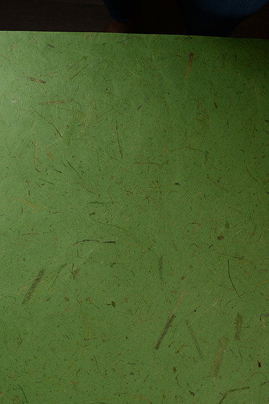 EJD_6760