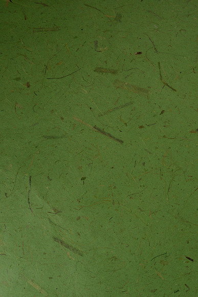 EJD_6764