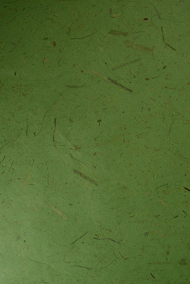 EJD_6762