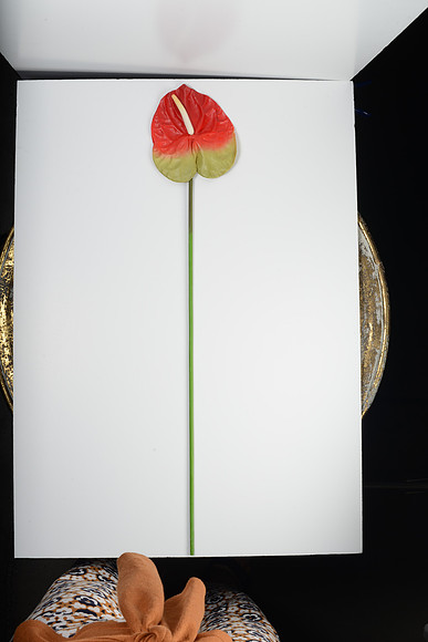 EJD_2711