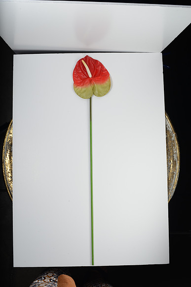 EJD_2713