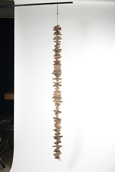 EJD_2805