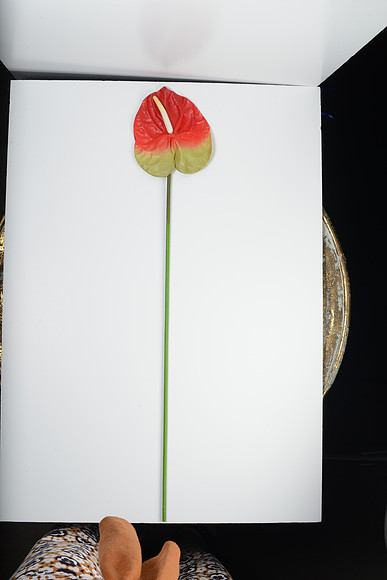 EJD_2710