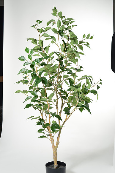 EJD_2801