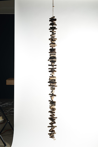 EJD_2808