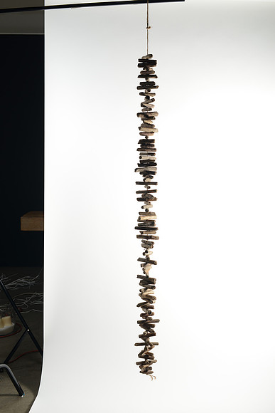 EJD_2809