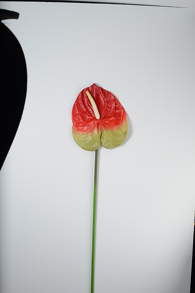 EJD_2734