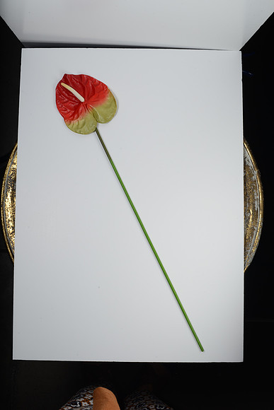 EJD_2706