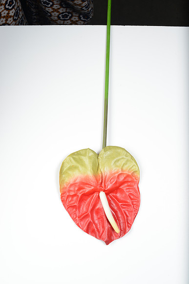 EJD_2701