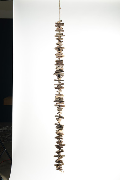 EJD_2814