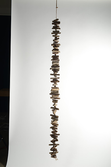 EJD_2806