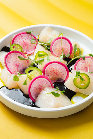 AguachileNegro005