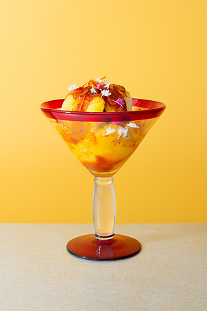 WebRes_MangoSundae008