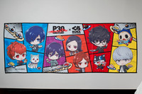 PROOFS_PersonaCampaign022