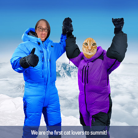 thetopofmounteverest (1)