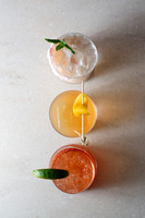 HolidayCocktails004