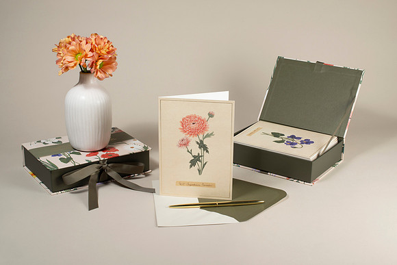 FlowerBoxSet001