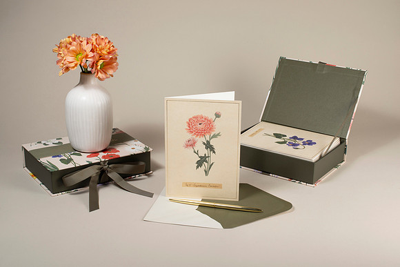 FlowerBoxSet002