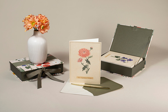 FlowerBoxSet002_Edited