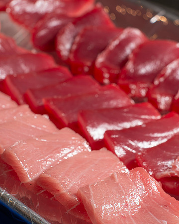 WebRes_Tuna006