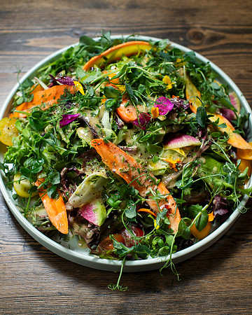 GardenSalad008