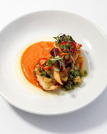 WebRes_Octopus005