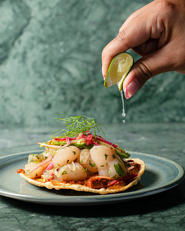 TostadaDeCallo013