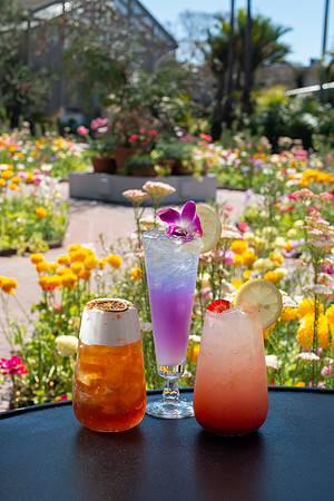 Cocktails002