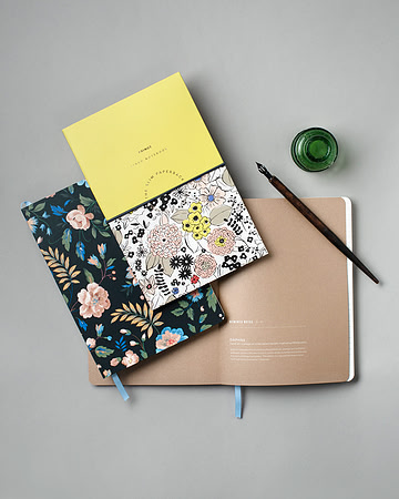 StationarySample_EmilyJDavis_Photographer_017