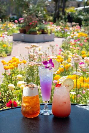 Cocktails001