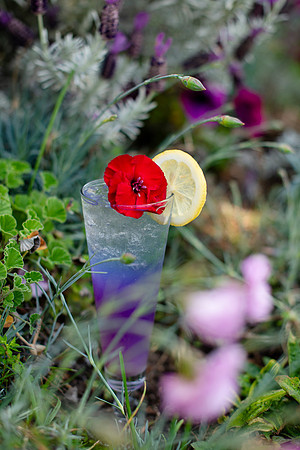 Wildflower005