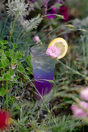Wildflower007