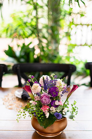 608DahliaLifestyleSpring014_HighRes